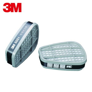 3M �X���[�G�� �h�Ń}�X�N�p�z���� 6001 2���� (1�g) �i�ԁF6001