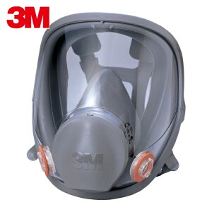 3M �X���[�G�� �h�Ń}�X�N�S�ʌ`�ʑ� 6000F L�T�C�Y (1��) �i�ԁF6000F L