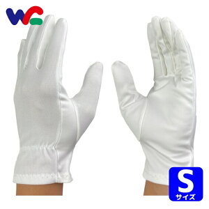 �E�C���Z�X ���C�s���O��� S (10�o��) (1��) 8060-S