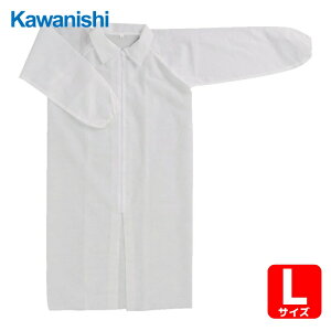 �쐼�H�� �g���̂ĕی앞 �H�ꌩ�w�p�s�D�z3�_�Z�b�g�i���� �}�X�N �w�A�L���b�v�j L�T�C�Y (1S) �i�ԁF7022-L