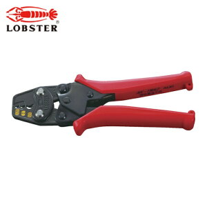 ���u�e�b�N�X �G�r �~�j�����H�� �g�p�͈�1.25�E2�E5.5 (1��) �i�ԁFAK1MA2