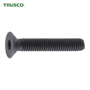 gXR TRUSCO LbvXN[ ZptM{g  SlW M12×35 9{ (1Pk) iԁFB73-1235