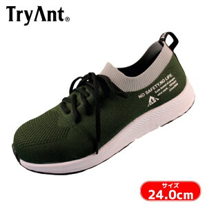 TryAnt A-30 ANGE SAFETY �I���[�u(009) 24.0cm (1��) A-30-009-24.0
