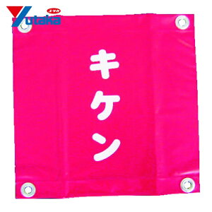 ���^�J���C�N ���S�\�����i�n�g�ځE�L�P���j (1��) �i�ԁFAF-2225