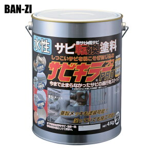BAN-ZI �o���W �K�]���h�� �T�r�L���[�v�� 4kg �V���o�[ (1��) A-SKP/K04S