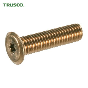 �g���X�R TRUSCO �w�b�N�X���[�u���ɒᓪ�˂� �X�e�����X ���C�g�u�����Y M6×16 10�{�� (1Pk) B187-0616