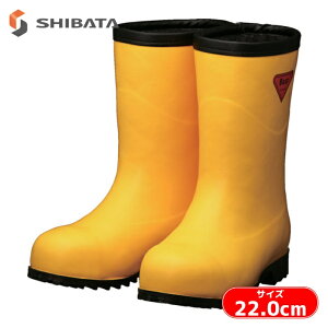 �V�o�^�H�� SHIBATA �h�����S���C �Z�[�t�e�B�x�A�[#1011���F(�C�G���[)�t�[�h���� 22.0cm (1��) AC101-22.0
