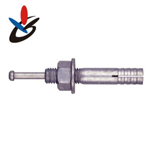 �T���R�[�e�N�m C-870D �e�N�m �I�[���A���J�[C�[D�^�C�v �n�Z�����߂��� �~���˂� (50�{)