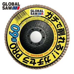 ���g���L �O���[�o���\�[�K�`�Z��PRO�i10�����j (1��) �i�ԁFCM-100-80