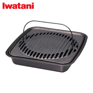 Iwatani ��J�Y�� �ē��O���� (1��) �i�ԁFCB-A-YKG