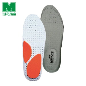 ~hS SC ƌC ~ JbvC\[ E-01 STCY 1g (1) iԁFE-01-S