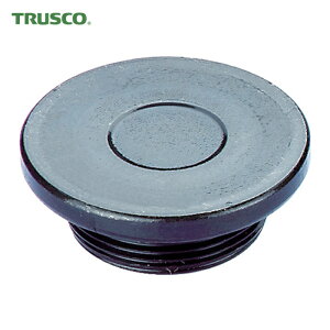 gXR TRUSCO Gz}Nv tbgpbh GSASSV[Yp (1) iԁFGSSS-FP