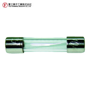 �y�m�[�q FP-FGBO-250V-10A-2P-PBF �K���X�ǃq���[�Y (2��) 10A 6.4×30mm (1Pk)