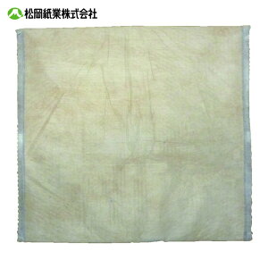 �������� ���z���� �C�[�}�b�gN (��)50×50cm �s�D�z��(50����) (1��) EM-N5050-02