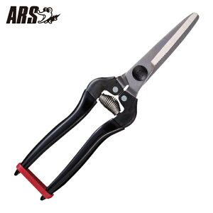 �A���X ARS �H���� ���p�r �X�e�����X (1��) �i�ԁFKG-300LW-DX-BP