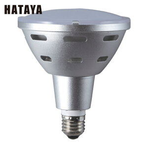 �n�^�� LED������ ���[�N���C�g 20W�������d���F�L�p�^�C�v (1��) �i�ԁFLDR20L-H110