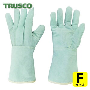 gXR TRUSCO Ǝ v njJnڗp5{w (1o) iԁFHNLG5