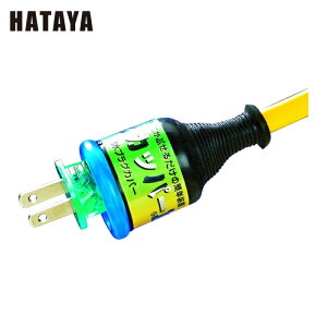 �n�^�� KGS-1 �v���O�J�b�p�[ 2P�E3P�v���O�h�J�^�ϊ��J�o�[ (1��)