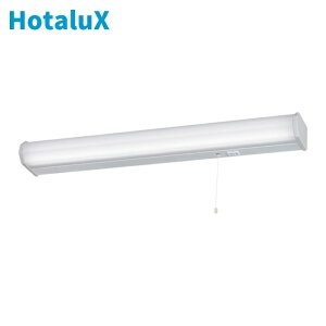 �z�^���N�X HotaluX HWDG22004 LED�L�b�`�����C�g�v���X�C�b�`�tFL20�`����660lm (1��)