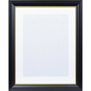 PR[ Kenko 1250344 NEWёzR A4 JSI-A4 (1) iԁFJSI-A4