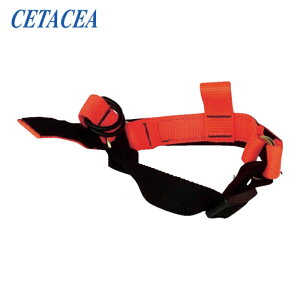 CETACEA ���C�Z�L�����e�B�X�g���b�v (1��) IDWBSS
