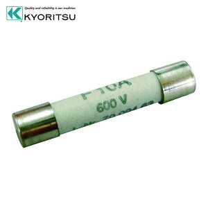 �����d�C�v�� KYORITSU 8919 �Z���~�b�N�q���[�Y (1��) �i�ԁFMODEL8919