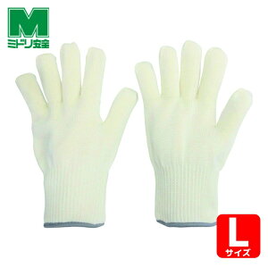 ~hS Ǝ ϔMW LTCY (1o) iԁFM-AR101-L