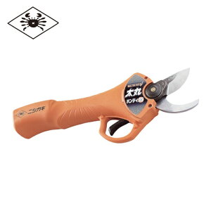 jVKLH ۃnfB[25i[djobe[E[dt (1) iԁFN928