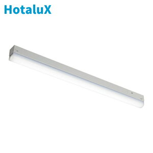 �z�^���N�X HotaluX MMK2101P/10-N1 LED�I�����v���X�C�b�`�tFL20�`����1000lm (1��)