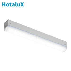 �z�^���N�X HotaluX MMK1101/06-N1 LED�I����FL10�`����600lm (1��)
