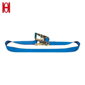 �I�[�G�b�`�H�� OH �x���g���b�V���O LSR300 �X�e�����X�����`�F�b�g�o�b�N���G���h���X ��35mm×��2.5mm (1��) �i�ԁFLSR300E50