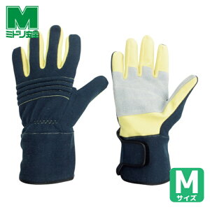 ~hS Ǝ ϔM h W[p hΎ ؊v⋭^Cv M (1o) iԁFMK-FM-1-NV-M