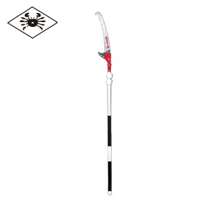 �j�V�K�L �L�k���� ���}�� �}�ł��ꔭ 6.5m (1��) �i�ԁFN763