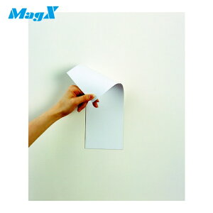 }OGbNX }OlbgʃJ[V[g (1) iԁFMSR-10WW