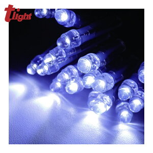 �g���C�g tlight LED�C���~�l�[�V���� �z���C�g(�C�e�^) (1�{) NSBW1-100-100P/1
