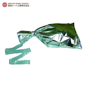 �e�n�V�[�g �S���o���h �L�у����o���h ������ (1�{) NOB3090HT
