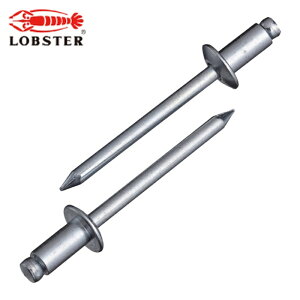 ���u�e�b�N�X �G�r �u���C���h���x�b�g�i�X�e�B�[��/�X�e�B�[�����j 8-14�i100�{���j �G�RBOX (1��) �i�ԁFNS814EB