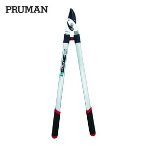 PRUMAN ���N���葾�}���� (1��) OM-600