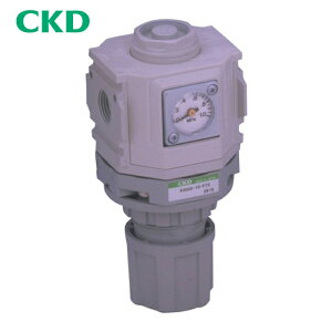 CKD R3100-10-W ���o�[�X���M�����[�^ ���F�V���[�Y (1��)