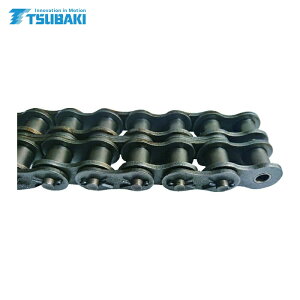 �֖{�`�G�C�� RS120-2-CP-U RS���[���[�`�F�� (1�{)