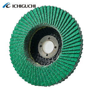 �C�`�O�` PGAX10015-Z-80 PGA-X �t���b�v�f�B�X�N Z (10��)