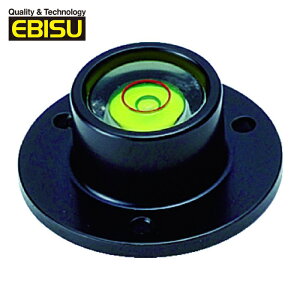 �G�r�X�_�C�������h ������ ������ �ی^�C�A�ǃ�11�E��t�^�C�v (1��) �i�ԁFR11T