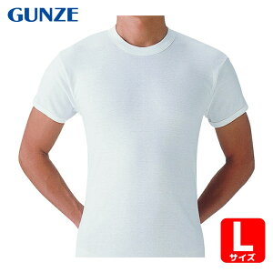 �O���[ GUNZE ���炩���������ێ�2���gL (1�g) SV61142-L