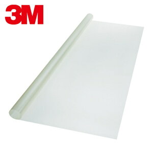 3M �X���[�G�� �t���X�g�V���[�Y �N���X�w�A���C���E�}�b�g (1��) SH2CHMA 1219