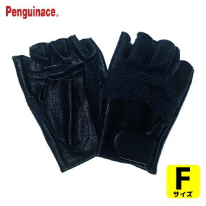 yMG[X Ǝ v HUSOLIDU[ hCrOO[u F bV (1o) iԁFTH-606