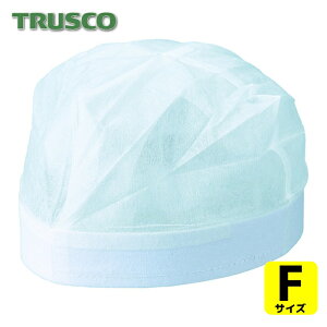 gXR TRUSCO wbgpCi[Xq i120j (1) iԁFTHDC-120