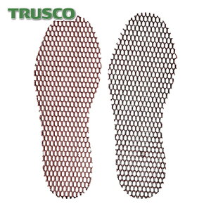 gXR TRUSCO SC ƌC ~ njJC\[ (1) iԁFTHIS