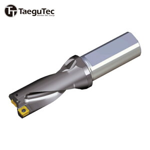 TAEGUTEC �e�O�e�b�N �n��������h�����z���_�[ �g�b�v�h���� (1�{) �i�ԁFTOP 2280-25T2-09