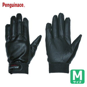 yMG[X Ǝ h Pp^[WINTER W-3 M (1o) iԁFW-3-M