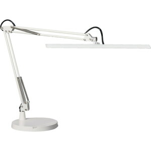 RcƖ dCX^h LEDfXNCg (1) iԁFZ10DW